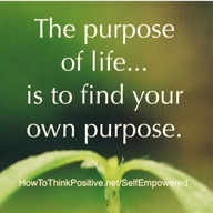 The purpose of life